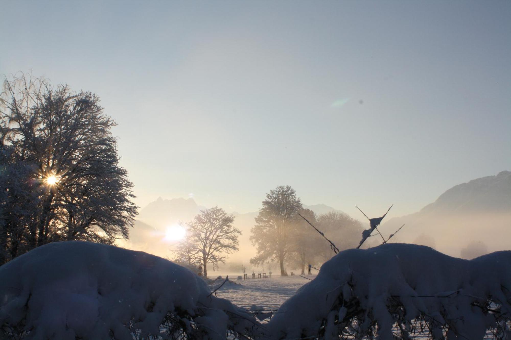 BnB Entensee Bed and Breakfast Uznach Buitenkant foto