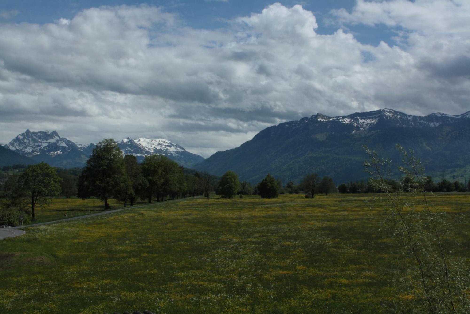 BnB Entensee Bed and Breakfast Uznach Buitenkant foto